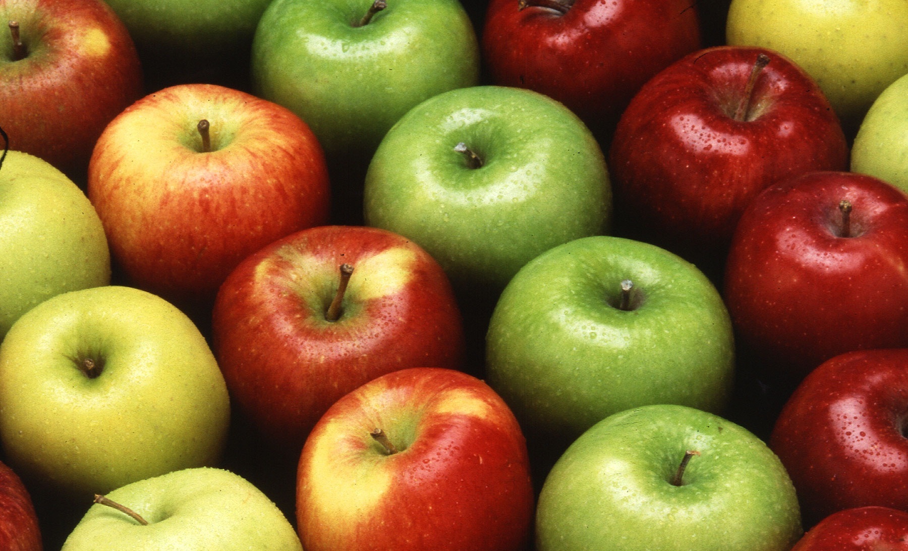 Boskoop, Braeburn und Co: Welcher Apfel für welches Rezept? - Tipps